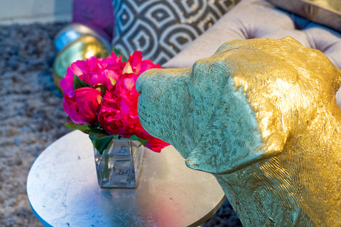 Labrador and LAVENDER