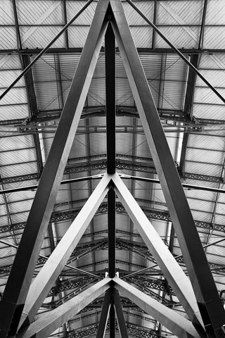 Train Shed, Monochrome, Florence, Italy Framed - Sylvie and Michael Spewak Photography