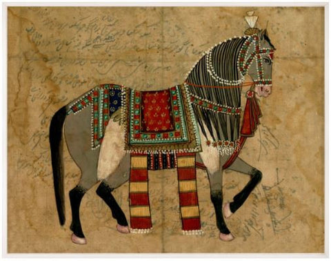 Indian Rider - Natural Curiosities