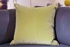 Giorgio Velvet Pillow 22x22 - Ryan Studio