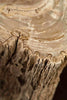 Petrified Wood Side Table - Bernhardt Interiors