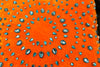 Pumpkin Silk Turquoise Rhinestones - Sabira Collection