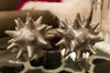 Large Matte Silver Urchin - Global Views