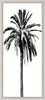 Elysian Palm Panel 4 - Natural Curiosities