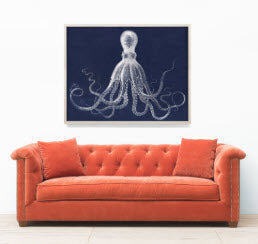 Lord Bodner's Octopus Blue - Natural Curiosities