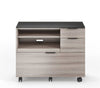 Sigma 6917 Multifunction Cabinet - BDI