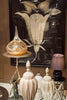 Assortment of Accessories - Juniper Street Window
