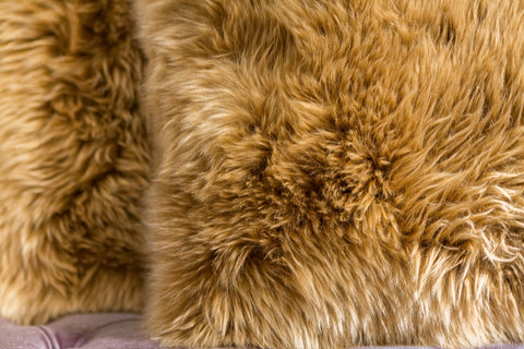 Long Wool Pillow, Toffee 20" x 20" - Auskin