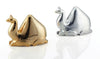 Camel Gold - Nima Oberoi-Lunares