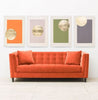 Sunset Green - Natural Curiosities
