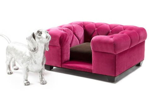 Danielle Dog Bed - James by Jimmy Delaurentis