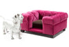 Danielle Toy Dog Bed - James by Jimmy Delaurentis