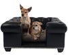 Danielle Toy Dog Bed - James by Jimmy Delaurentis
