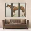 Lord Denver, Triptych - Natural Curiosities