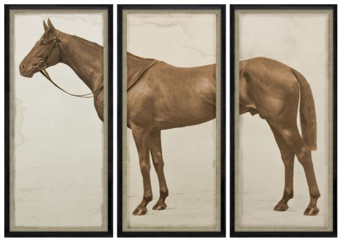 Lord Denver, Triptych - Natural Curiosities