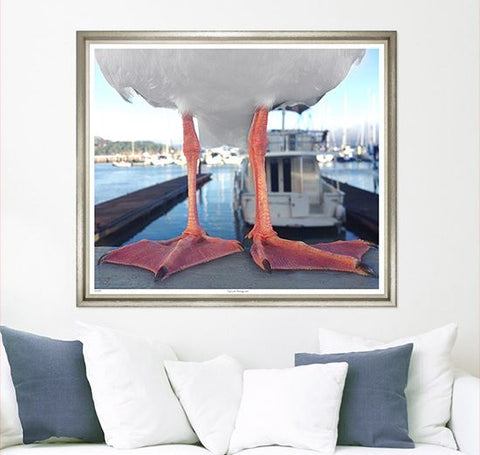 Giant Seagull - Trowbridge