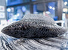 Nestor Koi Fish - Made Goods