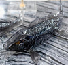 Nestor Koi Fish - Made Goods