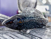 Nestor Koi Fish - Made Goods