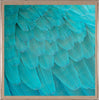 Gallop Express: St. Barths 4 - Natural Curiosities
