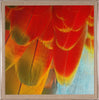 Gallop Express: St. Barths 7 - Natural Curiosities