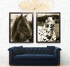 Hyden Horses Pensive - Natural Curiosities