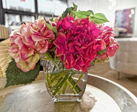 Hydrangea - NDI
