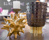 Djembe Champagne Cooler - Nima Oberoi-Lunares