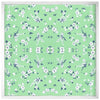 Nature Kaleidoscope 3 - Natural Curiosities