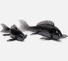 Nestor Koi Fish - Made Goods