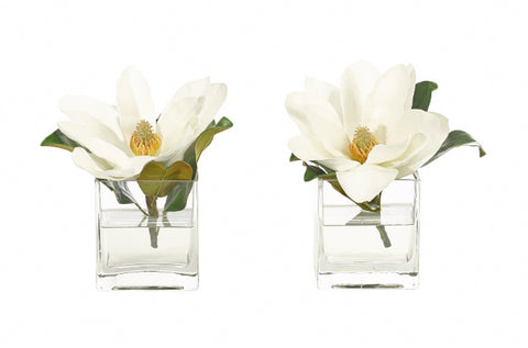 Magnolia - Set of 2 - NDI