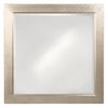 Millennium Mirror - Howard Elliott Collection