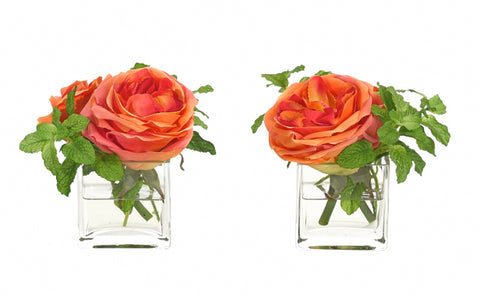 Rose/Mint - Set of 2 - NDI