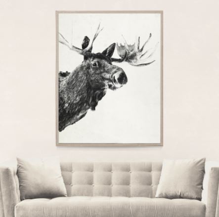 Tylinek Moose - Natural Curiosities