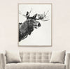 Tylinek Moose - Natural Curiosities