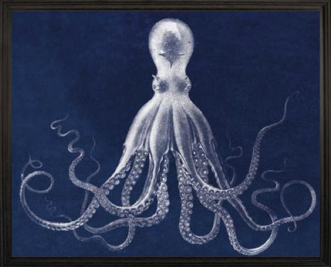 Lord Bodner's Octopus Blue - Natural Curiosities