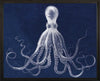 Lord Bodner's Octopus Blue - Natural Curiosities