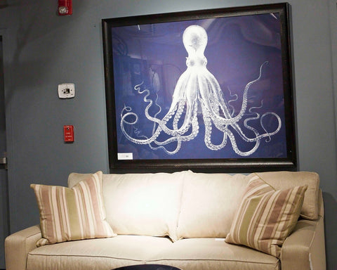 Lord Bodner's Octopus Blue - Natural Curiosities