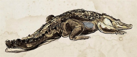 Hanriout Giraud 1 - Natural Curiosities