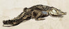 Hanriout Giraud 1 - Natural Curiosities
