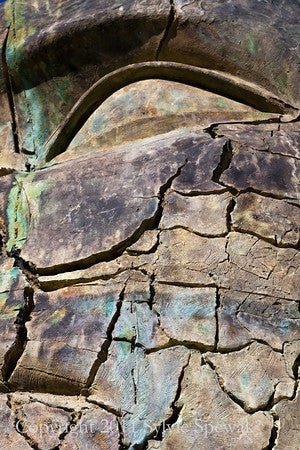 Boboli Ancient Statue Face Framed- Florence, Italy