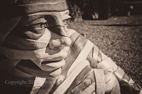 Boboli Wrapped Statue, View No. 3 Aluminum- Florence, Italy - Sylvie Rose Spewak