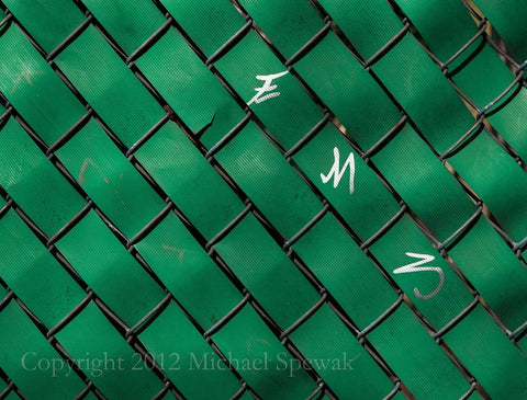 Pine Street Fence - Philadelphia PA - Michael Spewak
