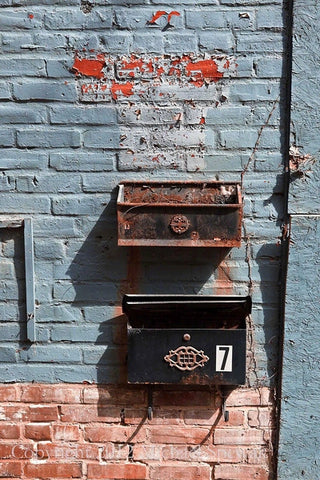 Haunted Flower Box Framed - Gladwyne, PA