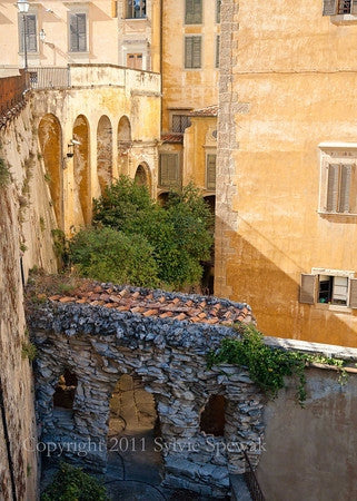 Hidden Garden Aluminum - Florence, Italy - Sylvie Rose Spewak