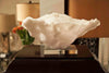 Coral Reef Large Bowl - Regina-Andrew Design