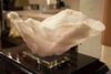Coral Reef Large Bowl - Regina-Andrew Design