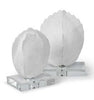 Turtle Shells on Crystal Set of 2 - Regina-Andrew Design
