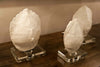 Turtle Shells on Crystal Set of 2 - Regina-Andrew Design