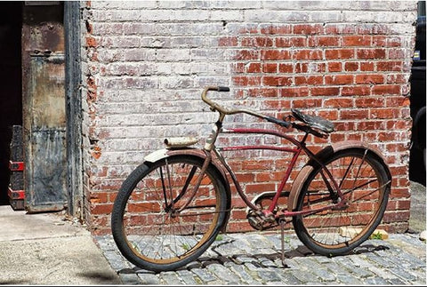 Bicycle and Brick Wall Framed - Durham, NC - Sylvie Rose Spewak